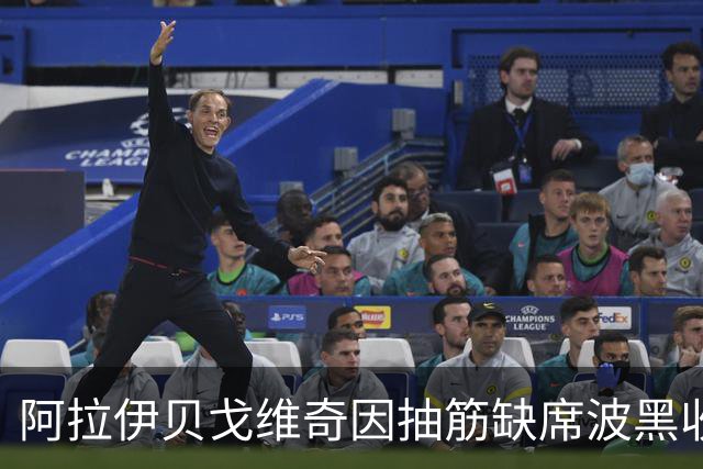 阿拉伊贝戈维奇因抽筋缺席波黑收官战，返回尤文待检